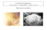 Control Systems (PB Lecture 17 – Spring 2008 Althoff Ch. 34) Nervous system.