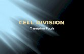 Tremaine Pugh.  Cell Growth occurs.  mitosis/interphase1large.html .