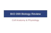 BIO 099 Biology Review Cell Anatomy & Physiology.