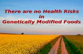 There are no Health Risks in Genetically Modified Foods.