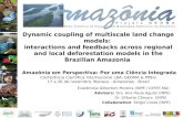 Dynamic coupling of multiscale land change models: interactions and feedbacks across regional and local deforestation models in the Brazilian Amazonia.