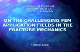 ON THE CHALLENGING FEM APPLICATION FIELDS IN THE FRACTURE MECHANICS Institute of Physics of Materials, AS of CR, Brno, Czech Republic Vladislav Kozák.