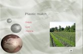 Plastic mulch History Cost Planting Plastic mulch is a product used, in a similar fashion to mulch, to suppress weeds and conserve water in crop production.