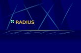 RADIUS. 2 In This Presentation … Why Do We Need It? What is RADIUS? RADIUS Operation RADIUS Packets Operation Examples Attacks on RADIUS RADIUS ’ EAP.