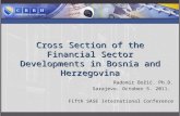 Cross Section of the Financial Sector Developments in Bosnia and Herzegovina Radomir Božić. Ph.D. Sarajevo. October 5. 2011. Fifth SASE International Conference.