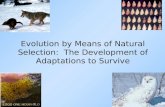 Evolution by Means of Natural Selection: The Development of Adaptations to Survive.