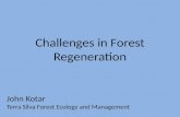 Challenges in Forest Regeneration John Kotar Terra Silva Forest Ecology and Management.