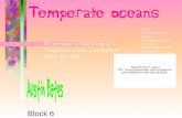Block 6 If you want to take a trip to a Temperate ocean, you ought to know this stuff. . com/images?q=Temp erate+ocean&ie=UTF - 8&hl=en&btnG=Goo.