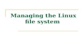 Managing the Linux file system. 1. Describe the Linux file system 2. Complete common file system tasks 3. Manage disk partitions 4. Use removable media.