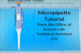 200-1000 2 7 8 Micropipette Tutorial From the Office of Science Lab Technical Assistant CCC.