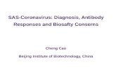SAS-Coronavirus: Diagnosis, Antibody Responses and Biosafty Conserns Cheng Cao Beijing Institute of Biotechnology, China.