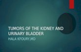 TUMORS OF THE KIDNEY AND URINARY BLADDER HALA KFOURY,MD.