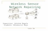 Supervisor: Antoine Bagula Students: Mthokozisi Moyo Luis Sa Wireless Sensor Network Repairing.