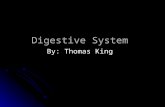Digestive System By: Thomas King. Mouth The mouth is an opening that food passes through, it can also be used for breathing through.