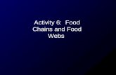 Activity 6: Food Chains and Food Webs.  yrcY5i3s&feature=related (song) yrcY5i3s&feature=related.