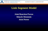 Link Segment Model Joint Reaction Forces Muscle Moments Joint Power.