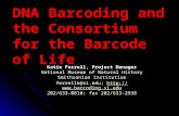 DNA Barcoding and the Consortium for the Barcode of Life Katie Ferrell, Project Manager National Museum of Natural History Smithsonian Institution ferrellk@si.edu;