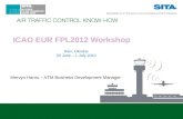 ICAO EUR FPL2012 Workshop Kiev, Ukraine 29 June – 1 July 2010 Mervyn Harris – ATM Business Development Manager.