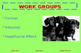 BUSI 321GOLDENCHAPTER 10 WORK GROUPS Formal Informal Hawthorne Effect.