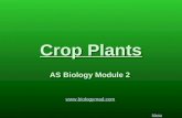 Crop Plants AS Biology Module 2  Menu.