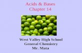 Acids & Bases Chapter 14 West Valley High School General Chemistry Mr. Mata.