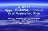 WRIA 43 Upper Crab/Wilson Creek Draft Watershed Plan Building a Watershed Plan with the Interests and Values of the WRIA 43 Planning Unit July 13 th &