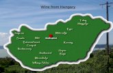 Wine from Hungary. The land of Hungary : soils perfect for viticulture and wine making variety of soil types Roman heritage: first vineyards in Szerémség,