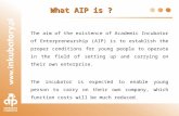 What AIP is ? The aim of the existence of Academic Incubator of Enterpreneurship (AIP) is to establish the proper conditions for young people to operate.