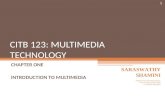 CITB 123: MULTIMEDIA TECHNOLOGY CHAPTER ONE INTRODUCTION TO MULTIMEDIA SARASWATHY SHAMINI Adapted from Notes Prepared by: Noor Fardela Zainal Abidin ©