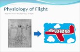Physiology of Flight Objective: Know the physiology of flight.