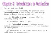 I. Energy and the Cell A. Energy – the capacity to perform work (Bioenergetics = the study of how energy flows through living organisms) 1. Kinetic energy.
