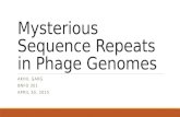 Mysterious Sequence Repeats in Phage Genomes AKHIL GARG BNFO 301 APRIL 30, 2015.