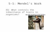 5-1: Mendel’s Work EQ: What controls the inheritance of traits in organisms?