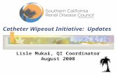 Catheter Wipeout Initiative: Updates Lisle Mukai, QI Coordinator August 2008.