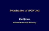 Polarization of AGN Jets Dan Homan National Radio Astronomy Observatory.