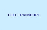 CELL TRANSPORT. Define these terms: 1. Solute*2. Solvent * 3. Semipermeable Membrane* 4. Passive Transport* 5.Active Transport* 6. Diffusion*7. Osmosis*