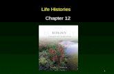 1 Life Histories Chapter 12. 2 Outline Offspring Number Versus Size  Animals  Plants Life History Variation Among Species Life History Classification.