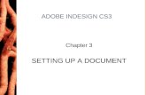 Chapter 3 ADOBE INDESIGN CS3 Chapter 3 SETTING UP A DOCUMENT.