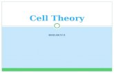 BIOLOGY11 Cell Theory. Some Random Cell Facts! The average human being is composed of around 100 Trillion individual cells!!! It would take as many as.