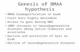 Genesis of BMAA hypothesis BMAA biomagnification in Guam Fruit bats highly desirable Access to guns during WW2 100X increase in neurodegenerative diseases.
