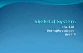 PTA 120 Pathophysiology Week 5. Objectives Discuss anatomic structures and physiologic processes related to the skeletal system. Discuss physical effects.