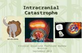 Intracranial Catastrophe Clinical Associate Professor Andrew Bezzina September 2013.
