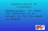 Domestication of Livestock Domesticate: to adapt the behavior of an animal to fit the needs of people.