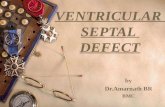 VENTRICULAR SEPTAL DEFECT by Dr.Amarnath BR BMC. CONGENITAL HEART DISEASE (con-together,genitus-born) The majority of congenital anomalies of the heart.