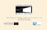 MEDIA Salles was founded in 1991 with the support of the European Union and the Italian Government.