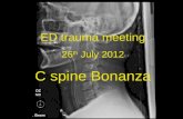 ED trauma meeting 26 th July 2012 C spine Bonanza.