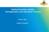 Methyl Bromide Update: Reregistration and Montreal Protocol April 23, 2009 Reddick Fumigants.