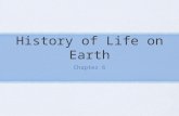 History of Life on Earth Chapter 6. Evidence of the Past How do fossils form? The heat and pressure from being buried in sediment can sometimes cause.
