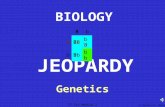 IT Ess Module 1 BIOLOGY Genetics JEOPARDY D Taysom & K. Martin Bb BBbBbB bBbBbbb.