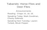 Tabanids: Horse Flies and Deer Flies Announcements Reading: Chaps 15, 18, 19. Speaking Today: Mark Goodman, Charity Selbrede Speaking Next Tuesday: Lauren.
